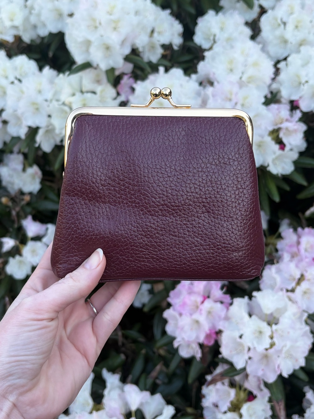 🛑‼️SOLD‼️🛑 Dooney & Bourke Pebble Grain Framed Purse Wallet - NWOT - Picture 3 of 6
